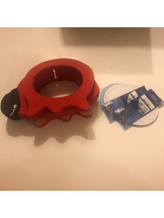 Other - Kid’s ladybug bank craft project